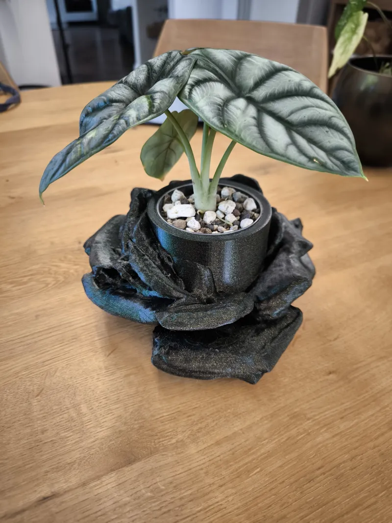 Blumentopf Rose