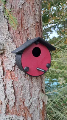 Nistkasten für Vögel | Nesting Box for Birds