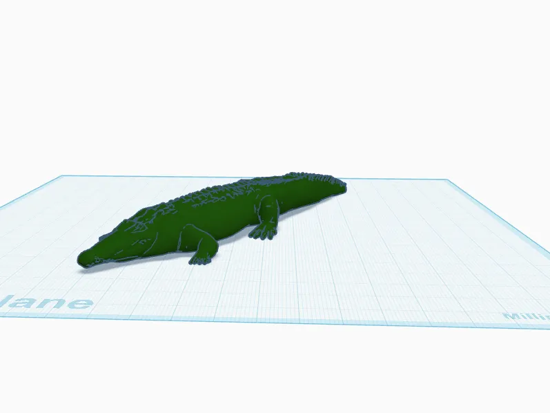 crocodile