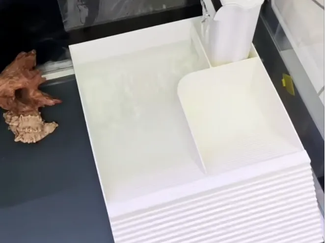 25cm超大寄居蟹水池