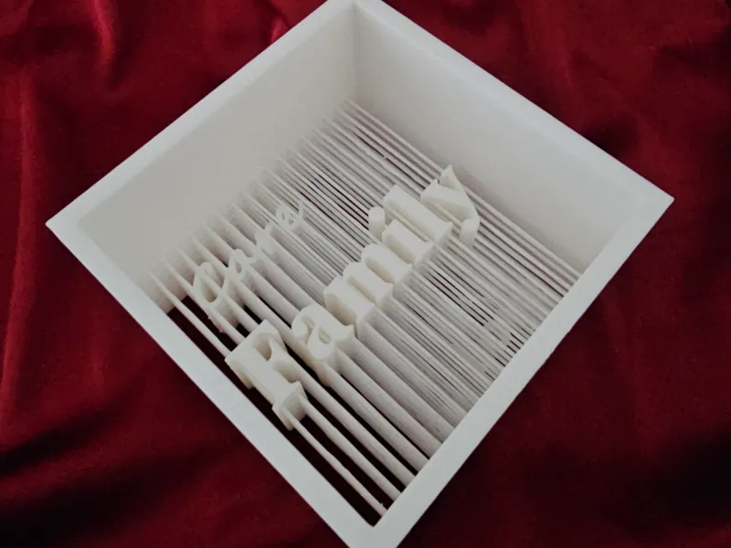 Suspended family box