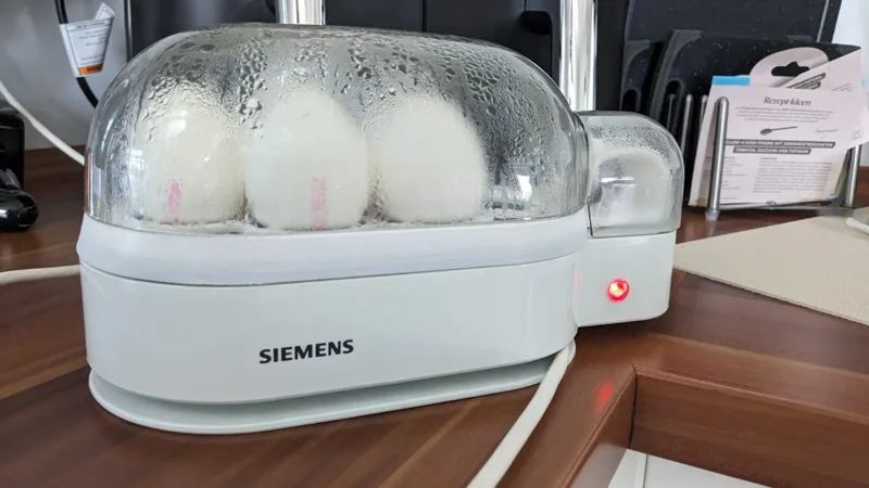EGG Tray