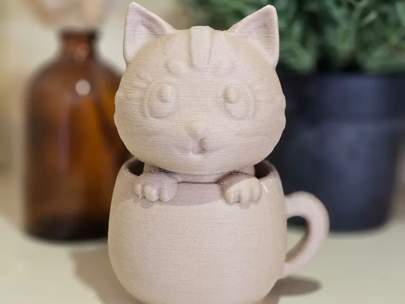 Cat in a cup