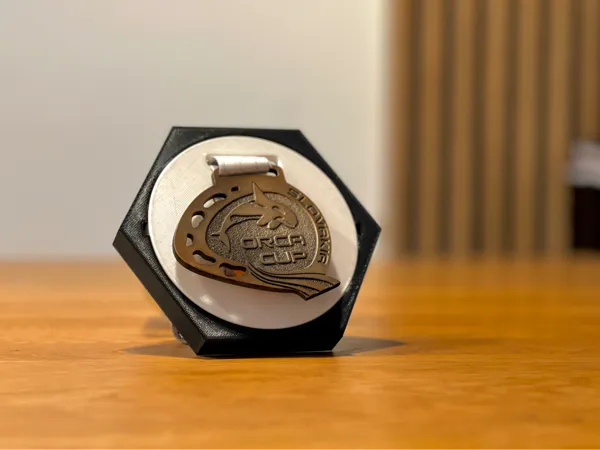 https://makerworld.bblmw.com/makerworld/model/DSM00000001708855/design/2025-08-17_1c5041f4d5cae8.jpg
