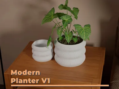 Modern Pot