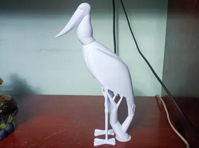 Jabiru (Jaburu)
