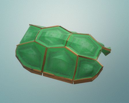 Turtle shell
