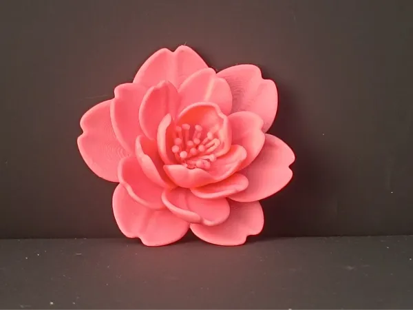 https://makerworld.bblmw.com/makerworld/model/DSM00000001710096/design/2025-08-18_b6c06d1f4354c.jpg