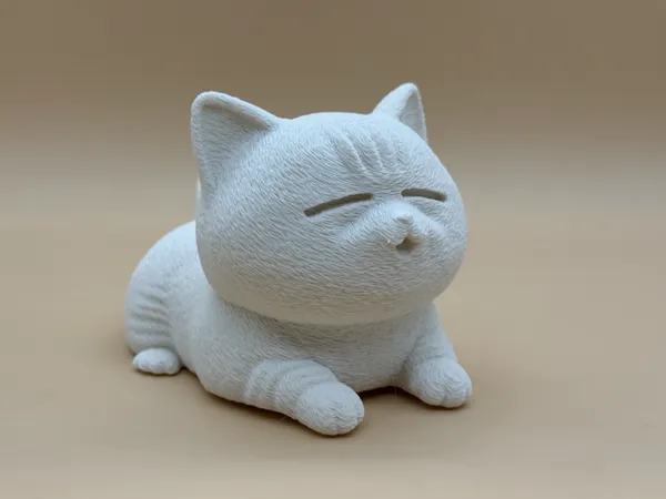 https://makerworld.bblmw.com/makerworld/model/DSM00000001710137/design/2025-08-18_373fade65ad6b.jpg