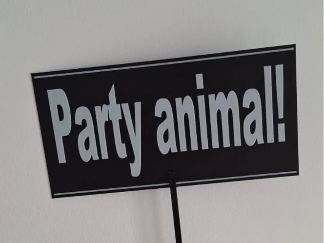 Party animal!