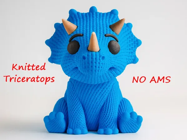 https://makerworld.bblmw.com/makerworld/model/DSM00000001712753/design/2025-08-18_16b78e4c820788.webp