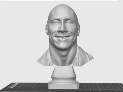 Dewayne (The Rock) Johnson bust 