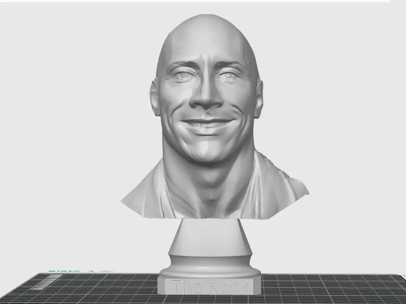 Dewayne (The Rock) Johnson bust 