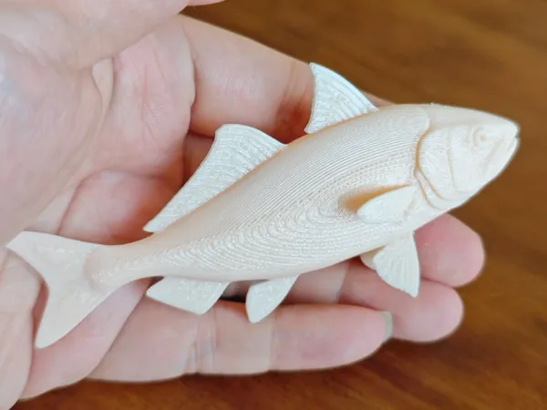 https://makerworld.bblmw.com/makerworld/model/DSM00000001715557/design/2025-08-20_374468367446b.jpg