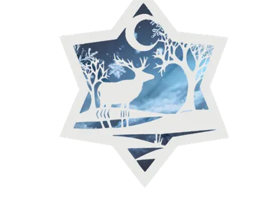 Snow star pendants