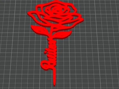 curly rose