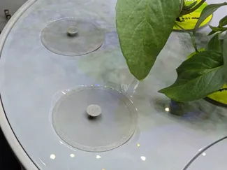 AeroGarden Hole Cover (Cap) with Handle