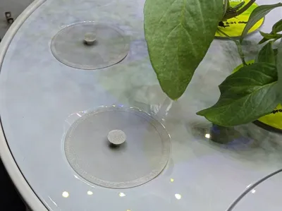 AeroGarden Hole Cover (Cap) with Handle