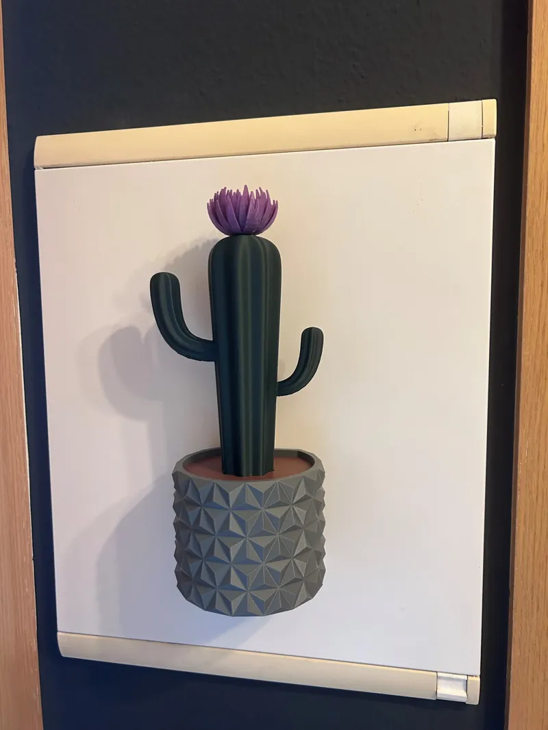 Kaktus mit Blumentopf magnetisch