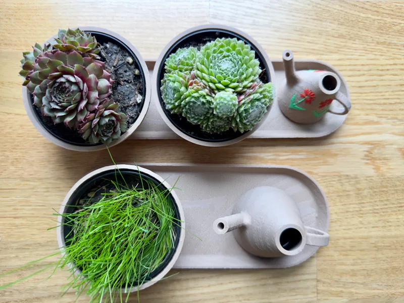 Modern Plant Set - Stylish & Practical