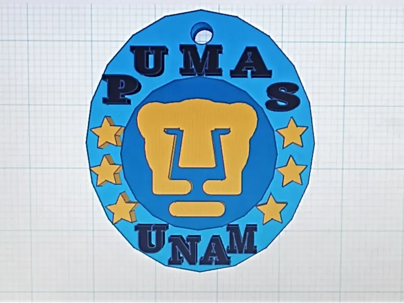 Llavero del equipo de pumas