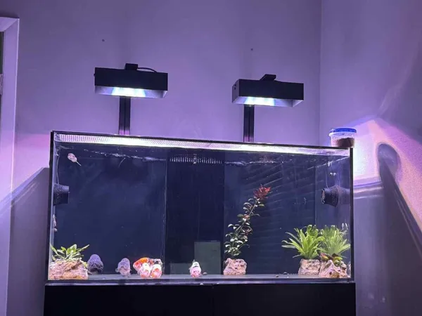https://makerworld.bblmw.com/makerworld/model/DSM00000001717810/design/2025-08-20_c4afd2e4a98b68.jpg