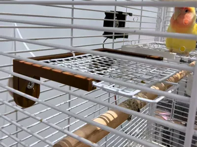 Parrot cage grid platform bracket