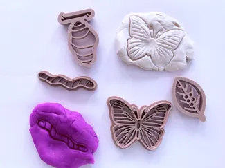 plasticine stempels levenscyclus vlinder
