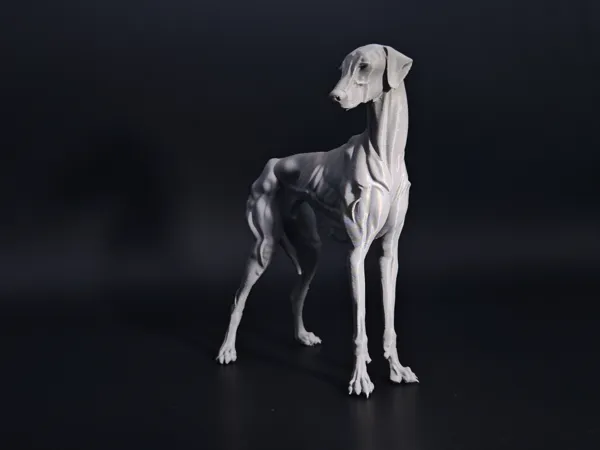 https://makerworld.bblmw.com/makerworld/model/DSM00000001721559/design/2025-08-22_ac7b261d894dc.jpg