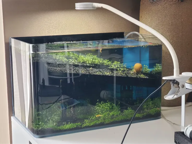40 鱼缸 水妖精 气动 过滤