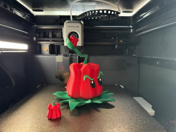 https://makerworld.bblmw.com/makerworld/model/DSM00000001722158/design/2025-08-22_f8393e5930774.jpg
