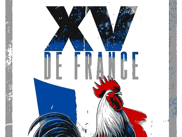 XV De France