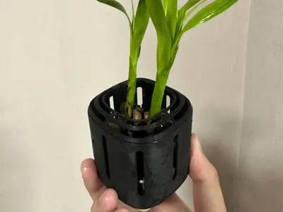Fish and Turtle Tank Aquatic Plant Planting Basket