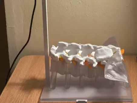 腰椎微创手术和穿刺模拟器