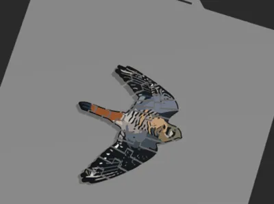 Flexi American kestrel