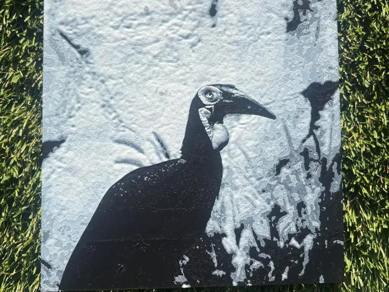 Ground hornbill Hueforge 