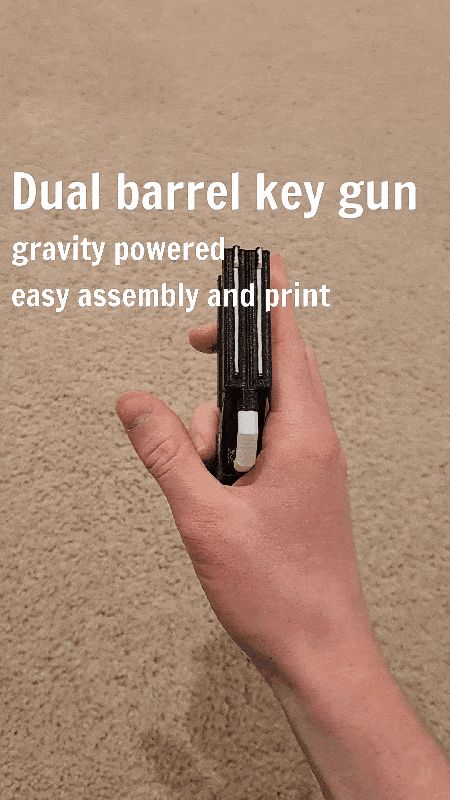 Dual Barrel Key Gun
