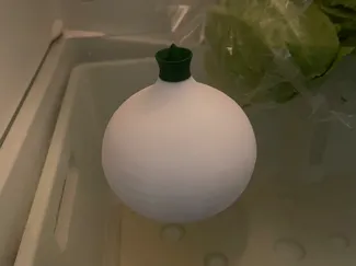 Box onion