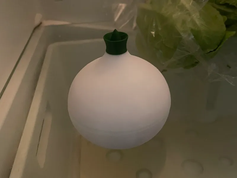 Box onion