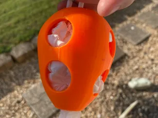 Egg Forage Toy
