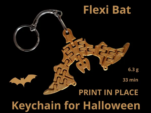 https://makerworld.bblmw.com/makerworld/model/DSM00000001733973/design/2025-08-25_4d3da8909505.jpg