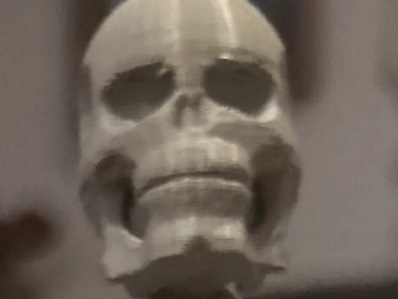 skeleton