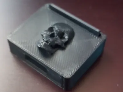 skull key case
