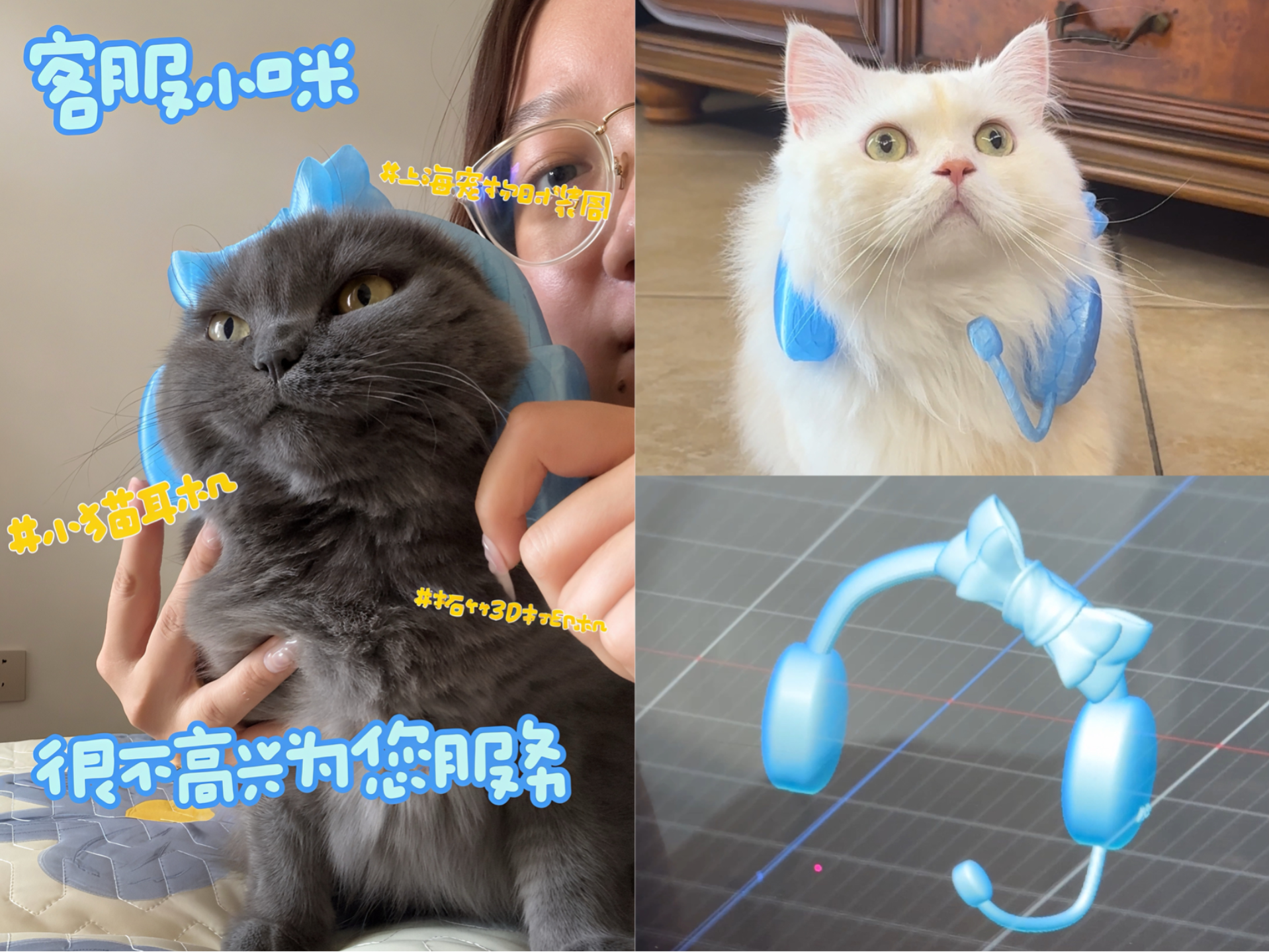 听歌小猫蝴蝶结耳机