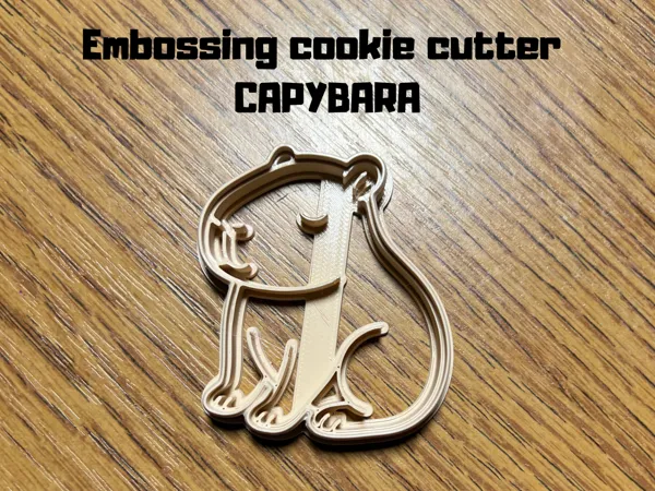 https://makerworld.bblmw.com/makerworld/model/DSM00000001744317/design/2025-08-29_44d27c1ab39bd8.png
