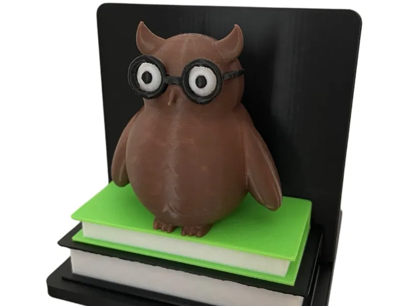 Wise Owl Bookend