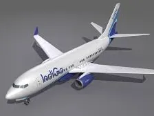 indigo