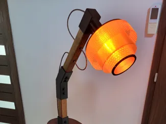 Floor lamp with wood