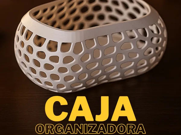 https://makerworld.bblmw.com/makerworld/model/DSM00000001748911/design/2025-08-30_c50d0caa49a238.png