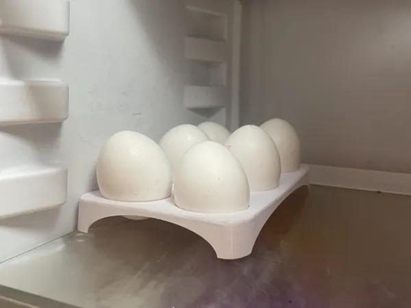 Plateau à œufs